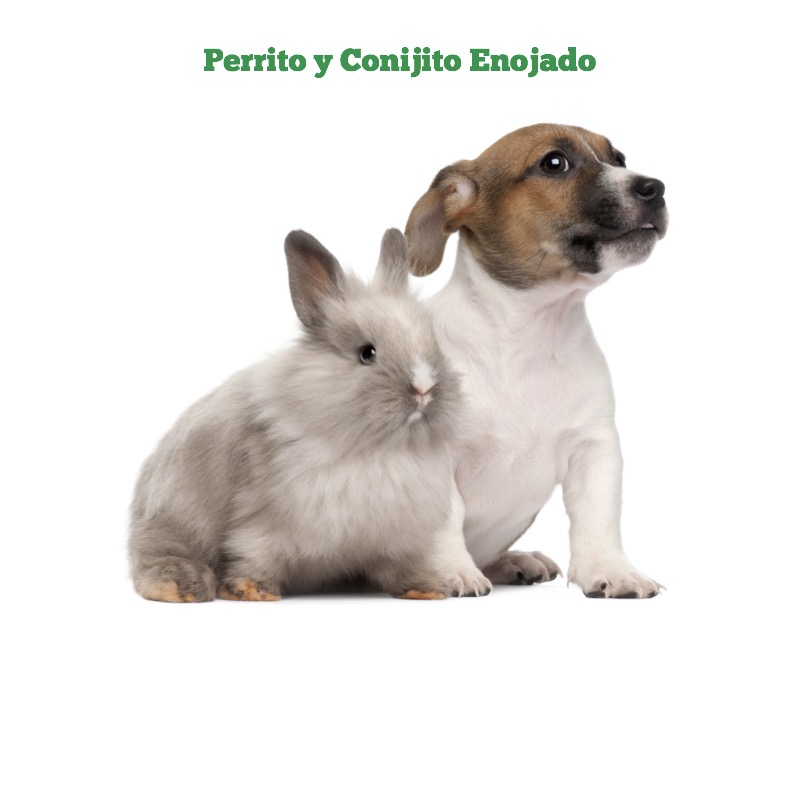Conejito y Perrito — page 1