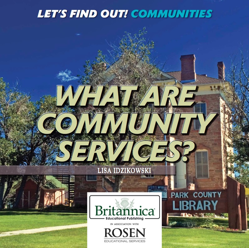What are Community Services? book cover