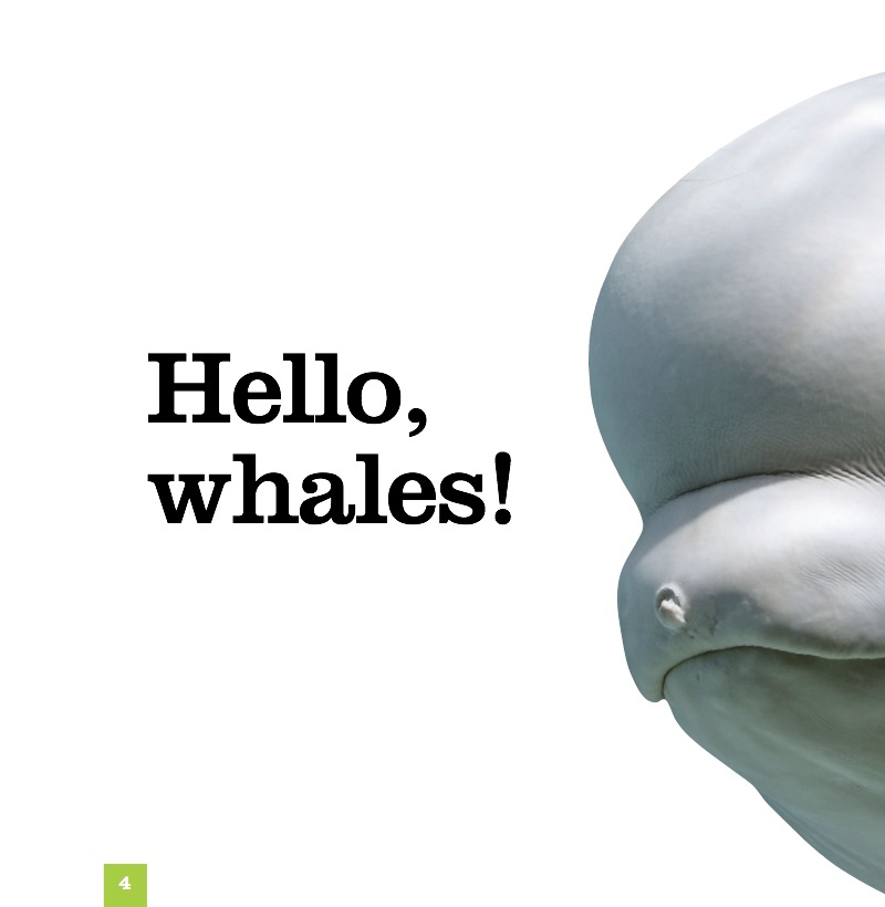 Whales — page 1