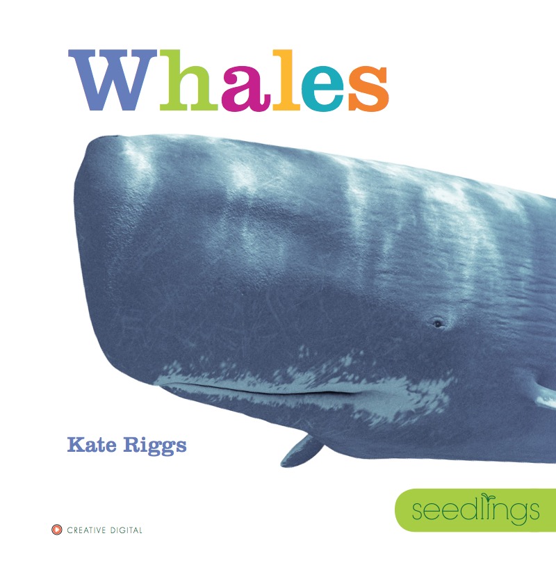Whales book cover