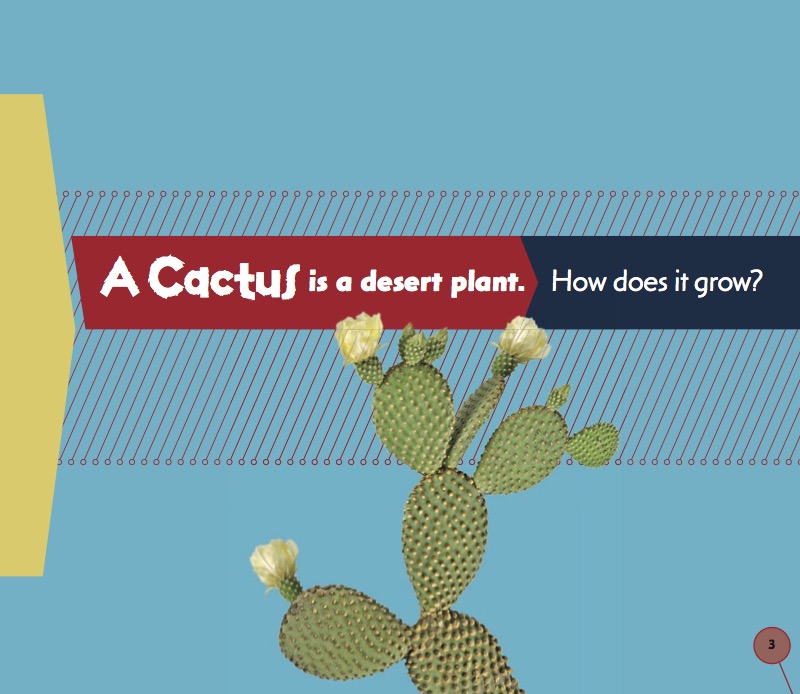 From Seed to Cactus book cover