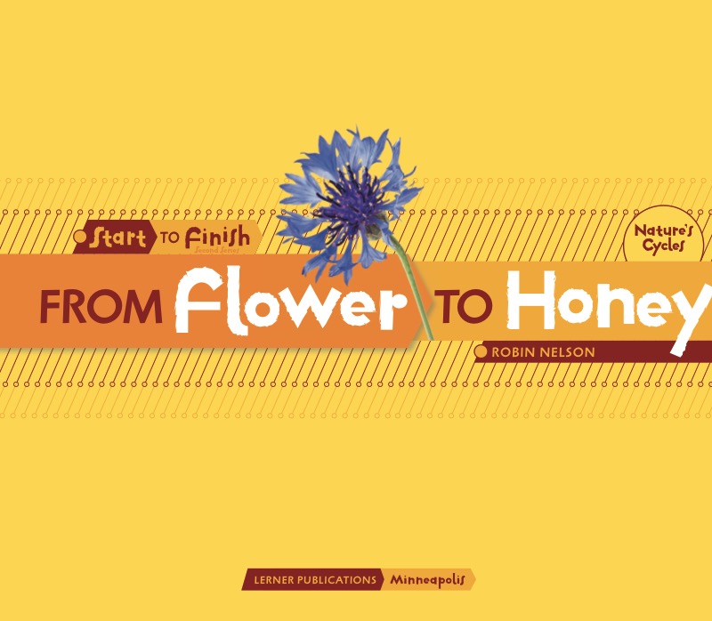 From Flower to Honey book cover