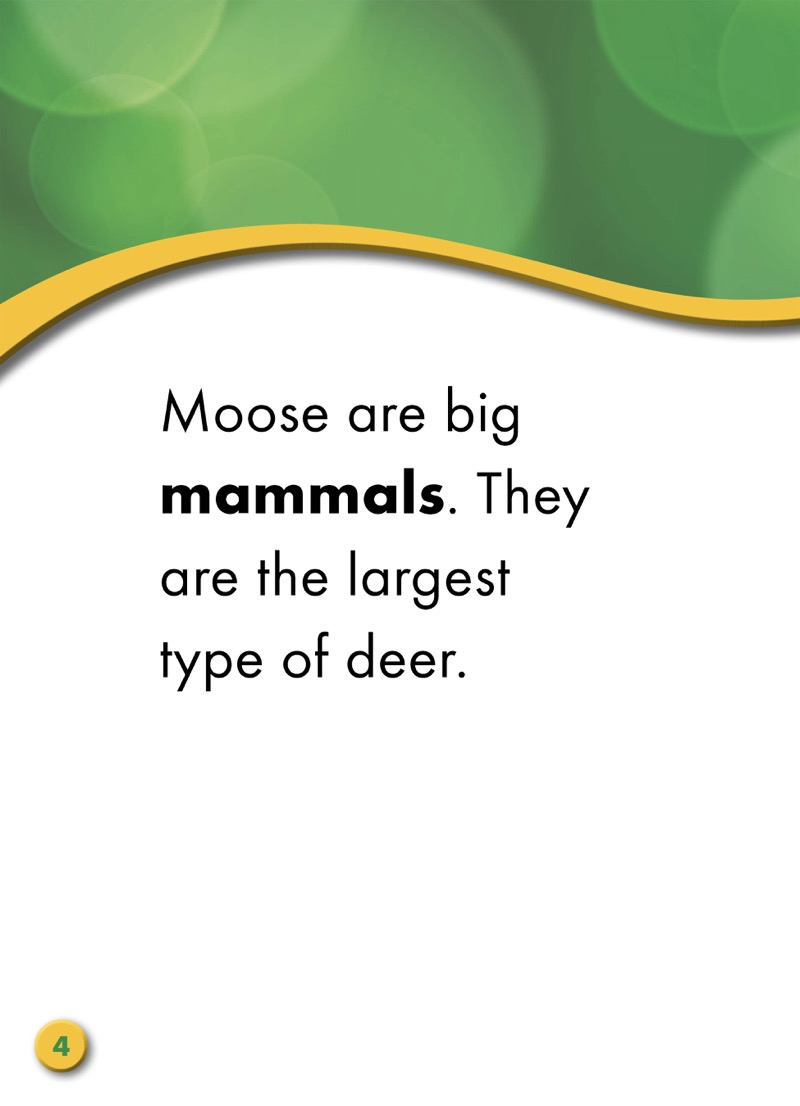 Backyard Wildlife: Moose — page 1