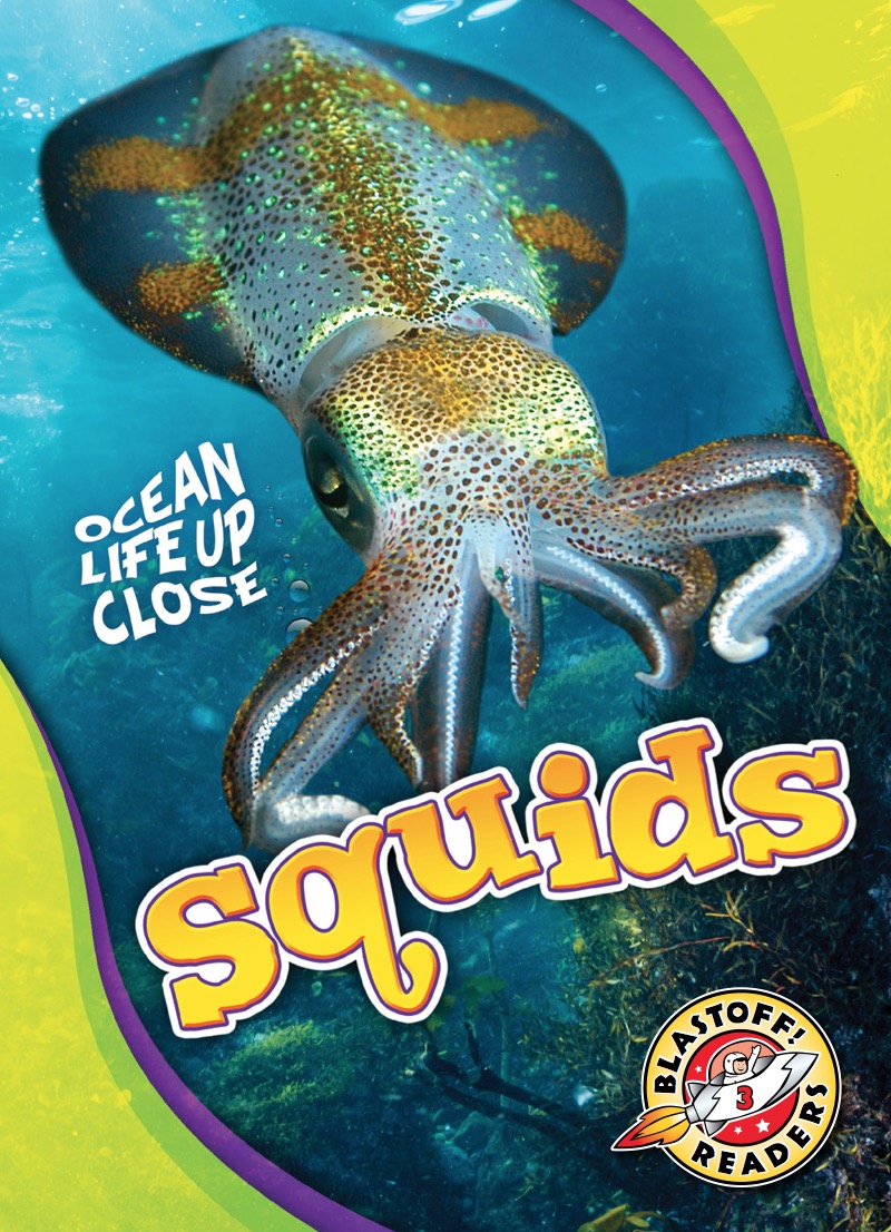 Ocean Life Up Close: Squids book cover
