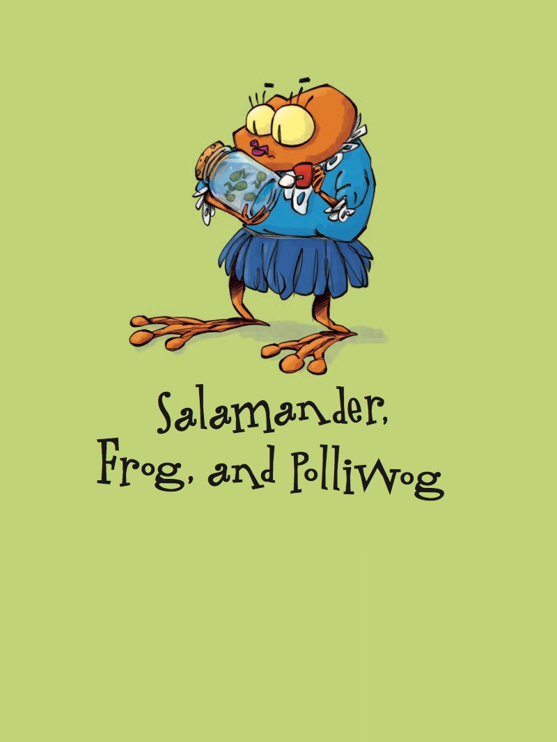 Salamander, Frog, and Polliwog: What Is an Amphibian? book cover