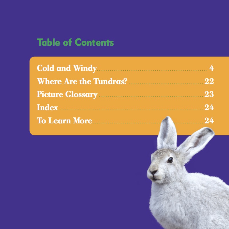 Tundras book cover