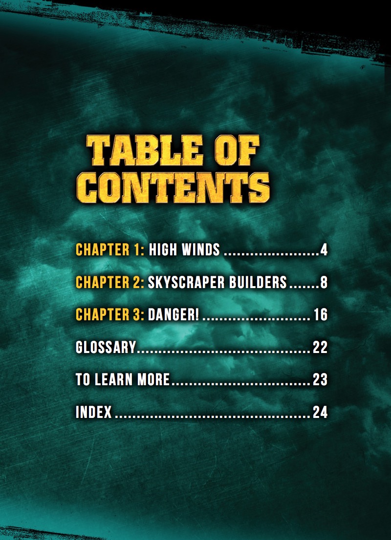 Skyscraper Builder book cover