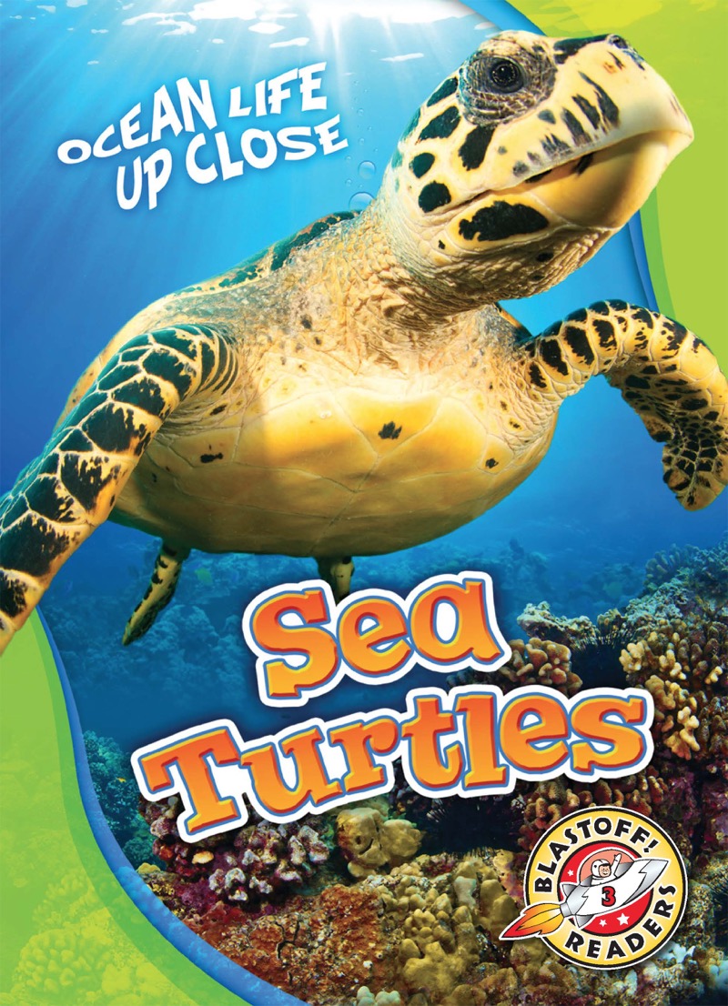 Sea Turtles book cover