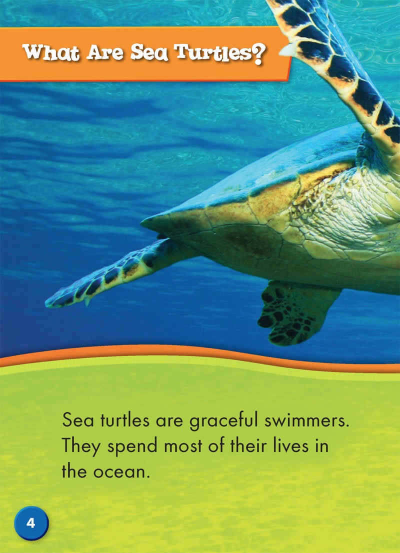 Sea Turtles — page 1