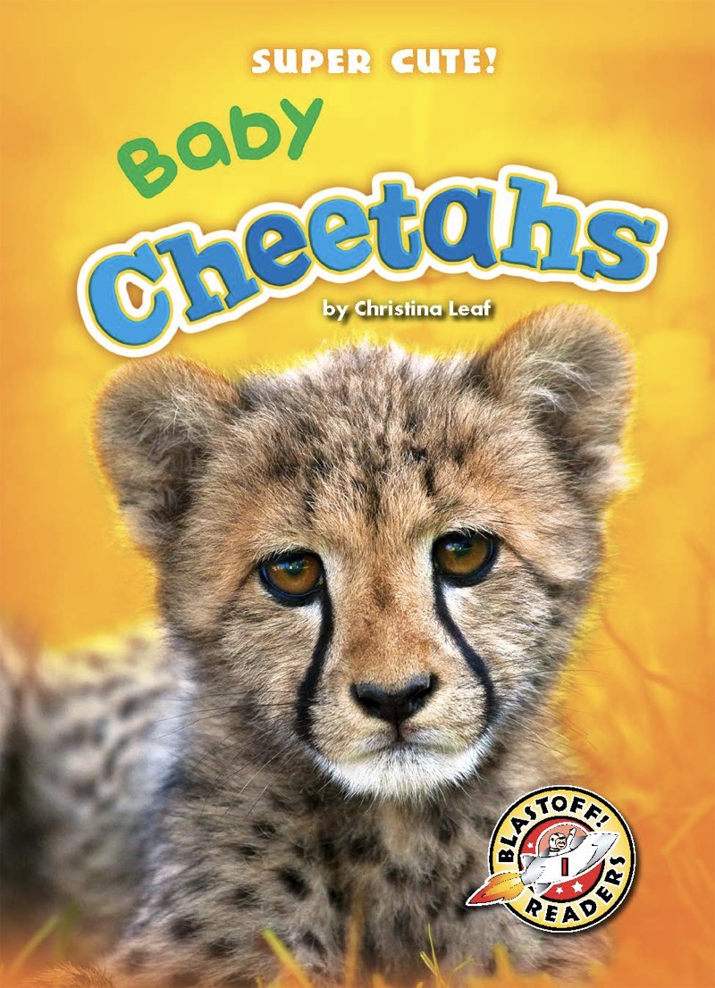 Super Cute! Baby Cheetahs book cover
