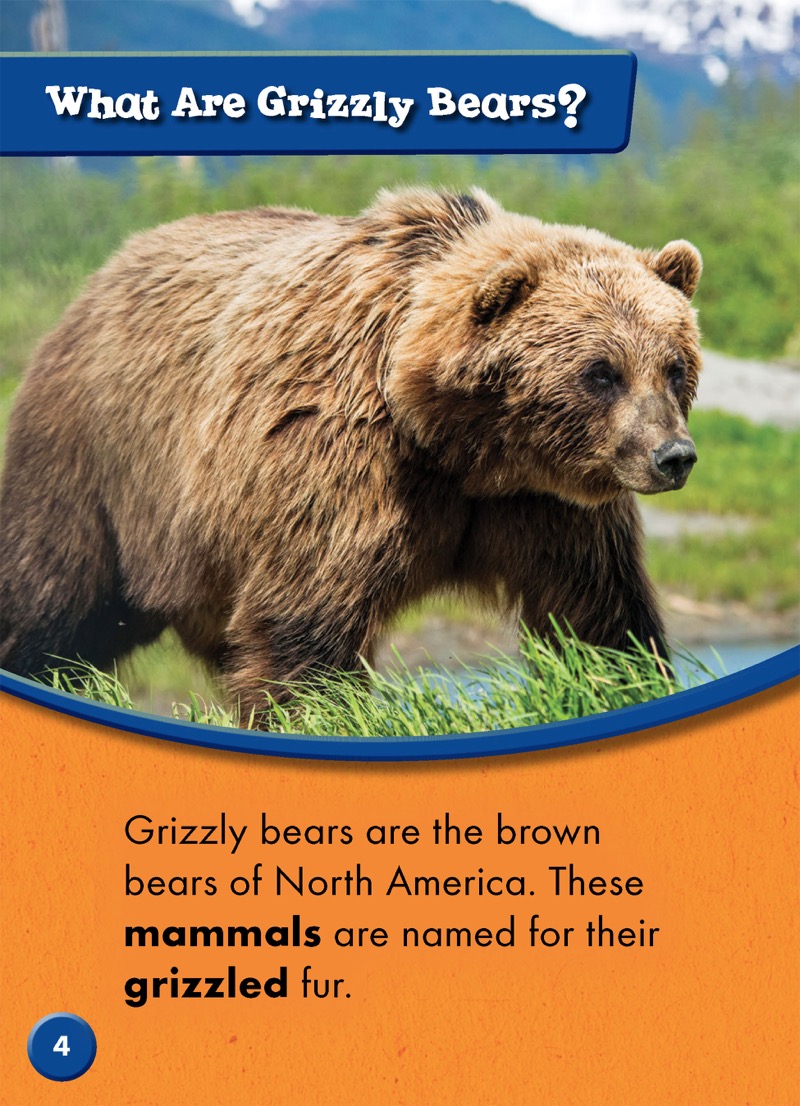 Grizzly Bears — page 1