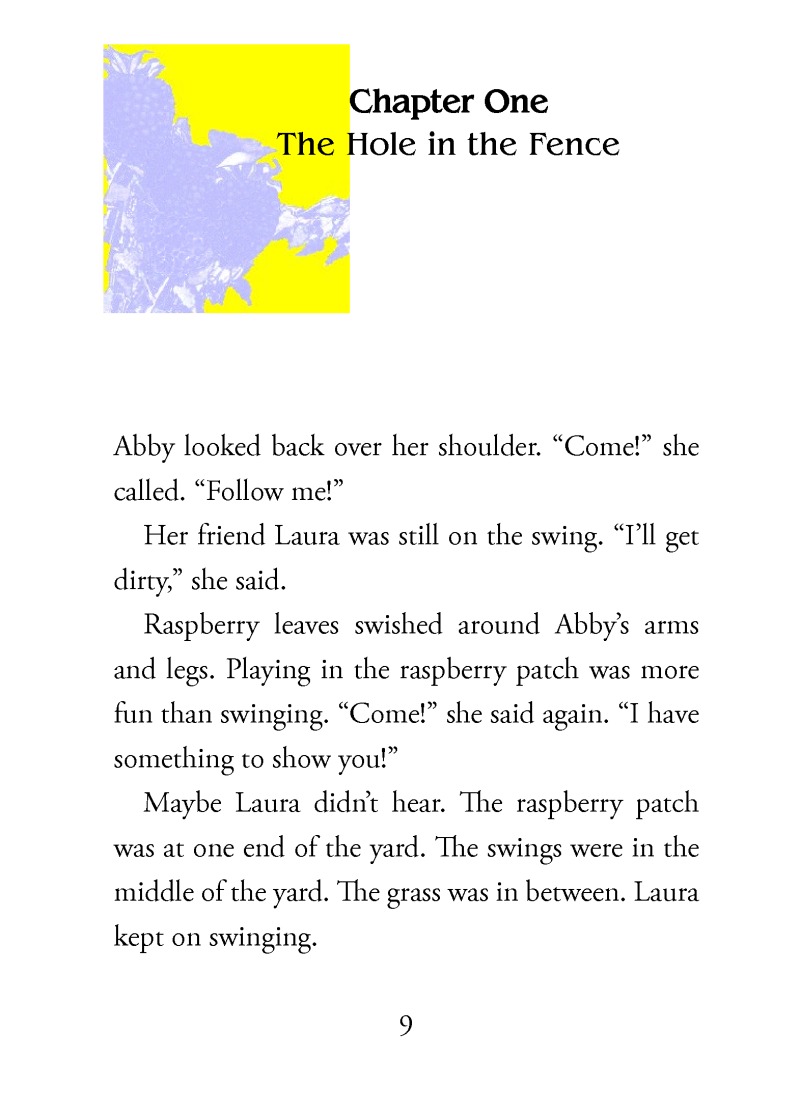 The Raspberry Room book cover