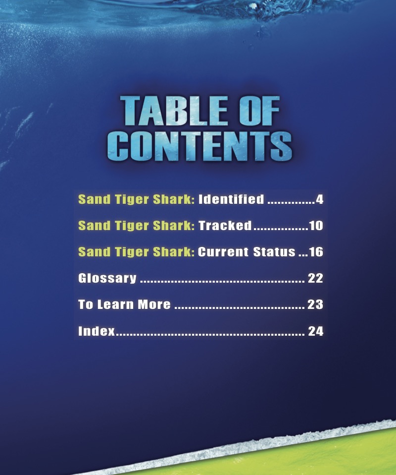The Sand Tiger Shark book cover