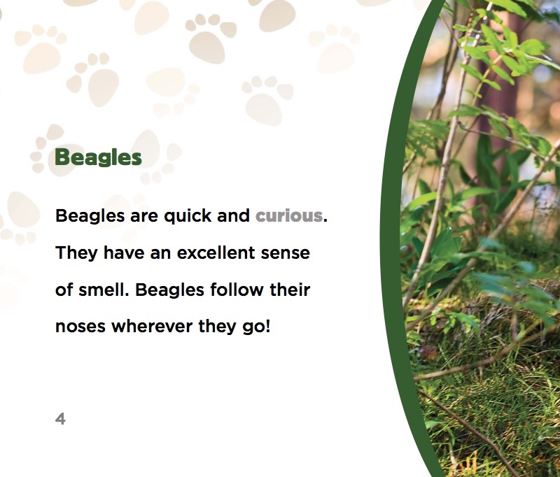 Beagles — page 1