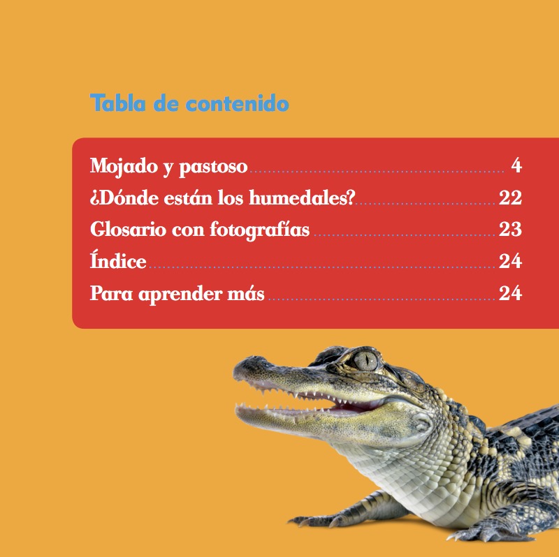 Humedales (Wetlands) book cover