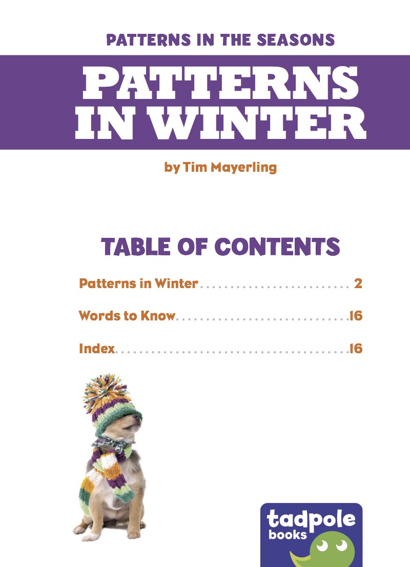 Patterns in Winter book cover