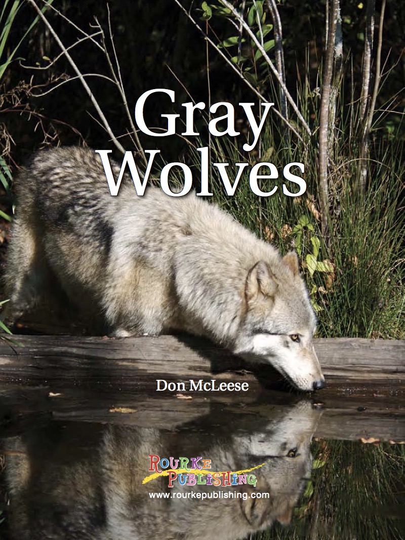 Gray Wolves book cover