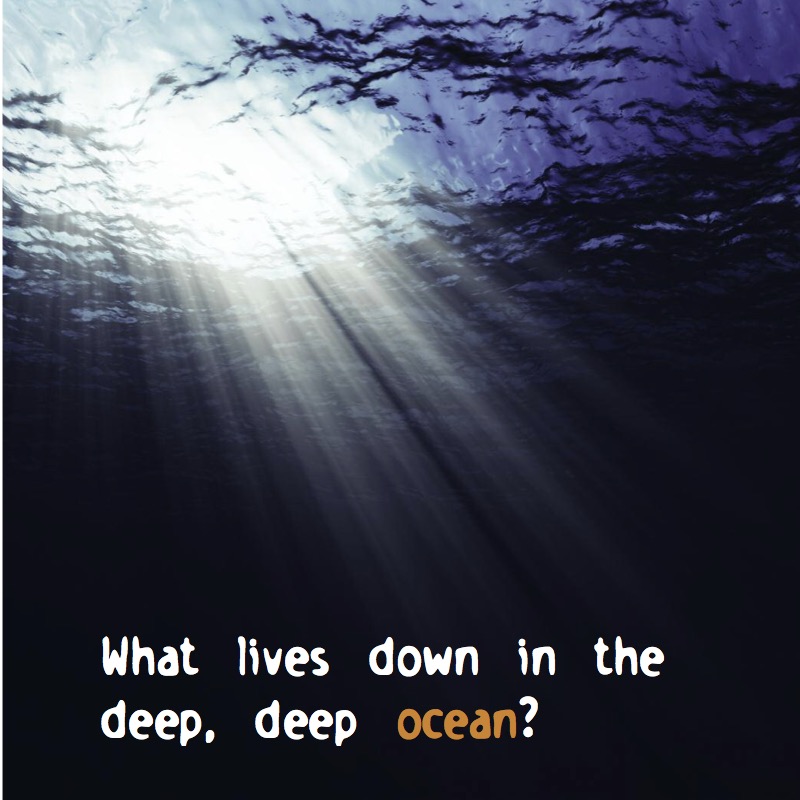 Down In The Deep, Deep, Ocean! book cover