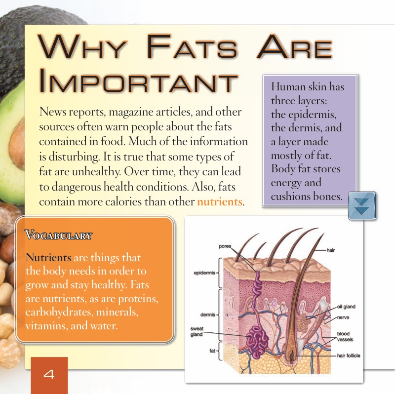 What Are Fats? — page 1