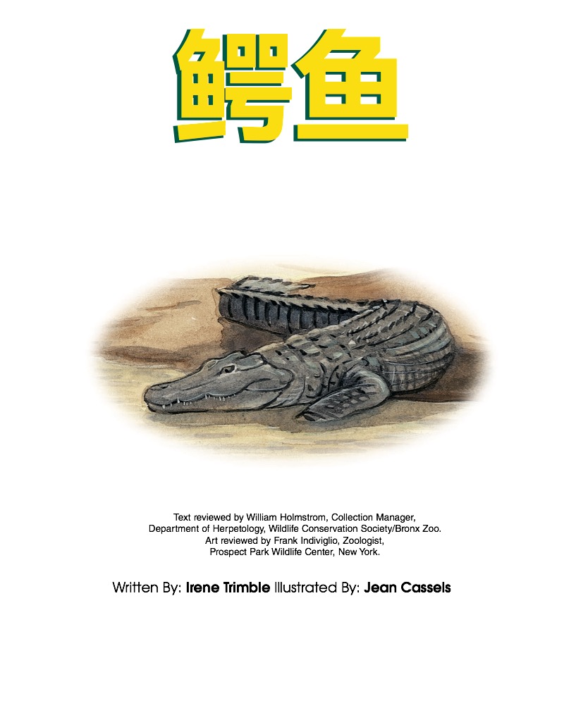鳄鱼 ! book cover