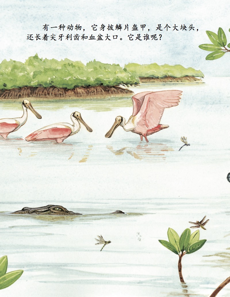 鳄鱼 ! — page 1