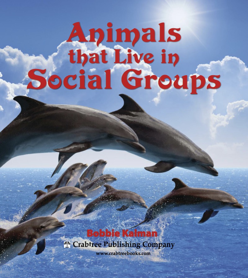 Animals that Live in Social Groups book cover