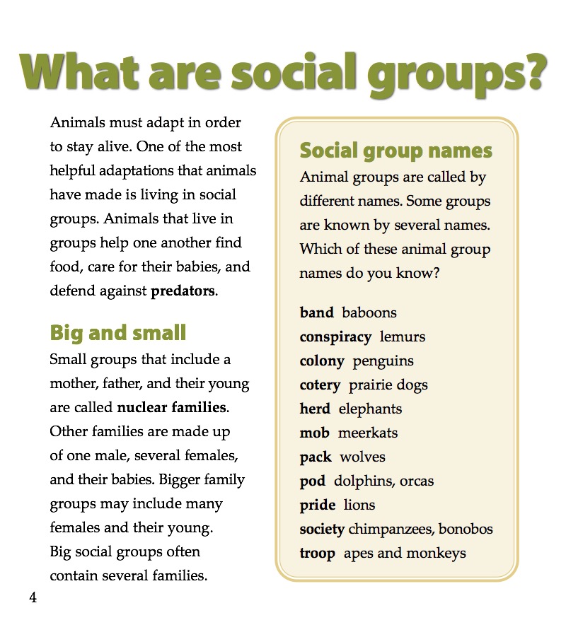 Animals that Live in Social Groups — page 1