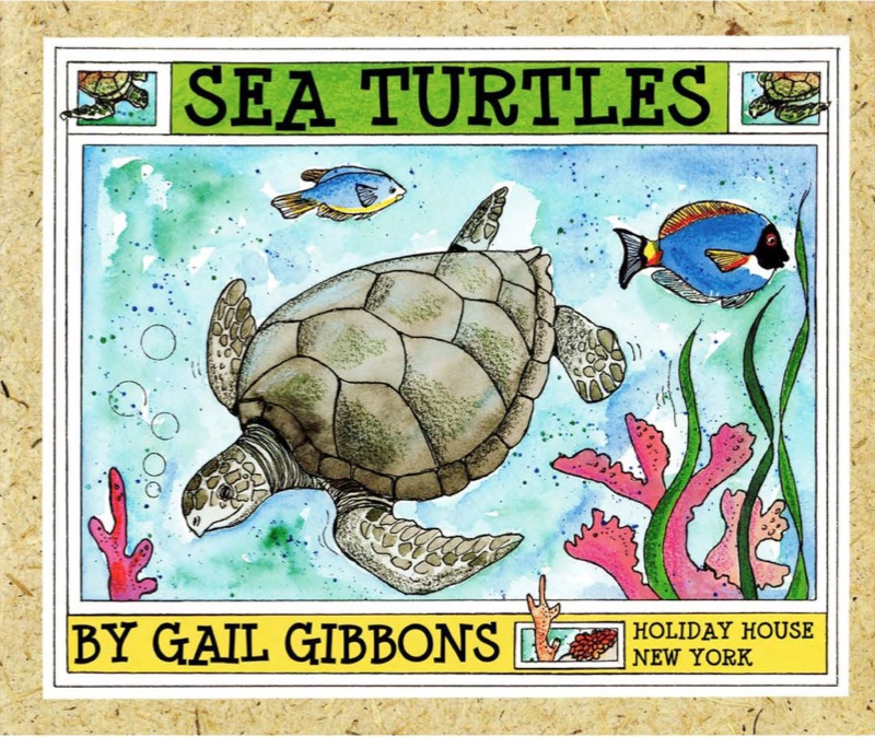 Sea Turtles book cover