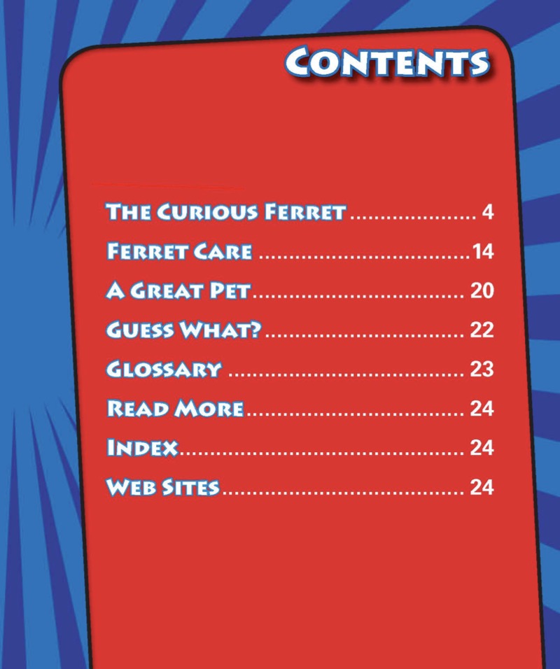 My Friend the Ferret book cover