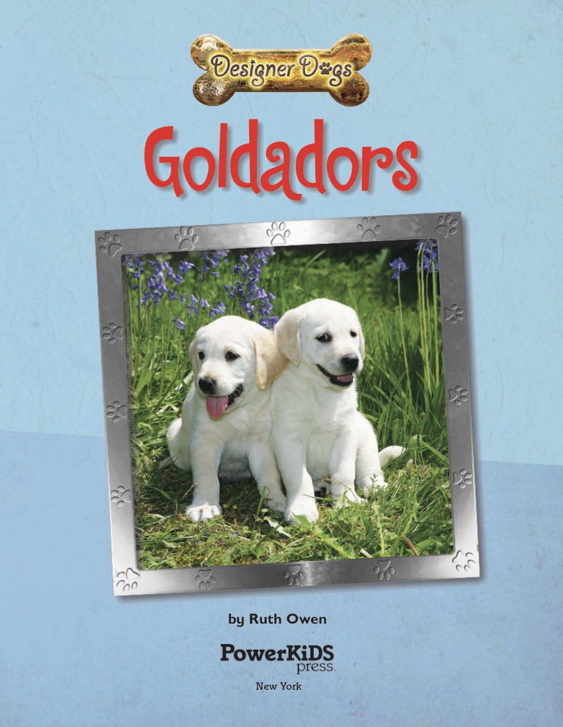 Goldadors book cover