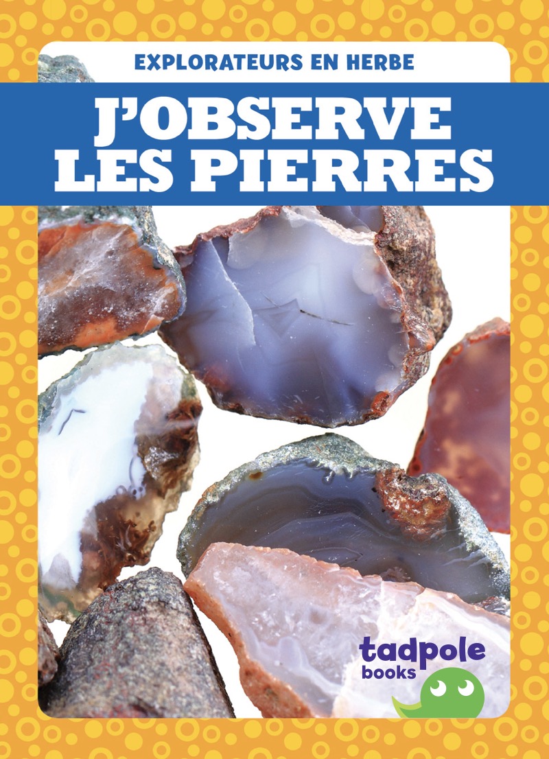 J’observe les pierres book cover