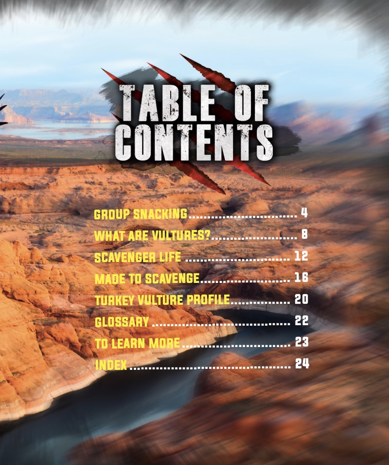 Vultures book cover