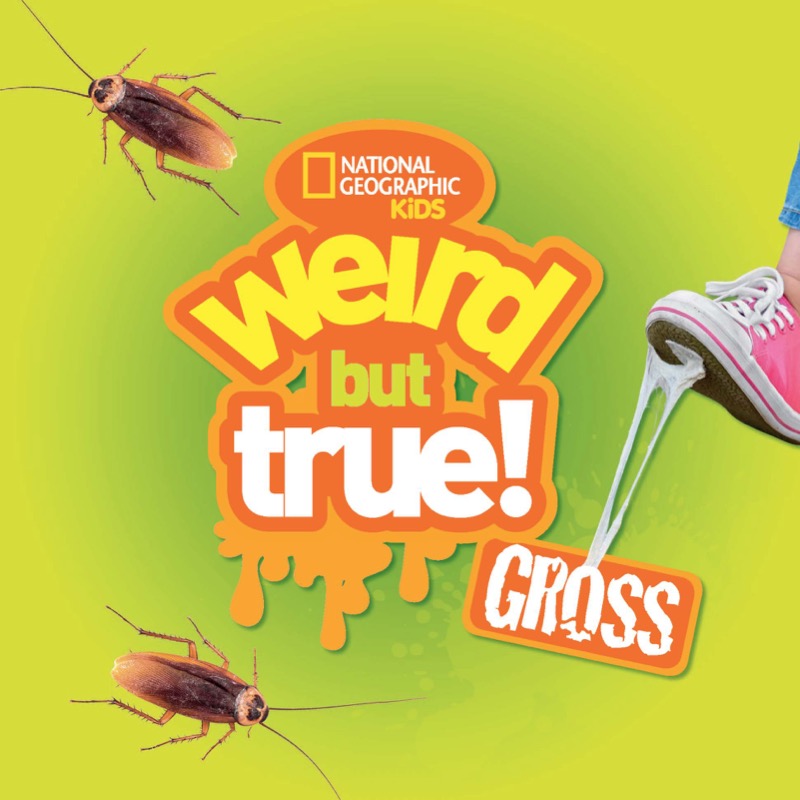 Weird But True Gross book cover