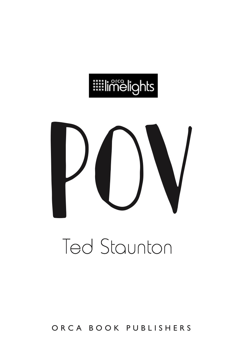 POV book cover