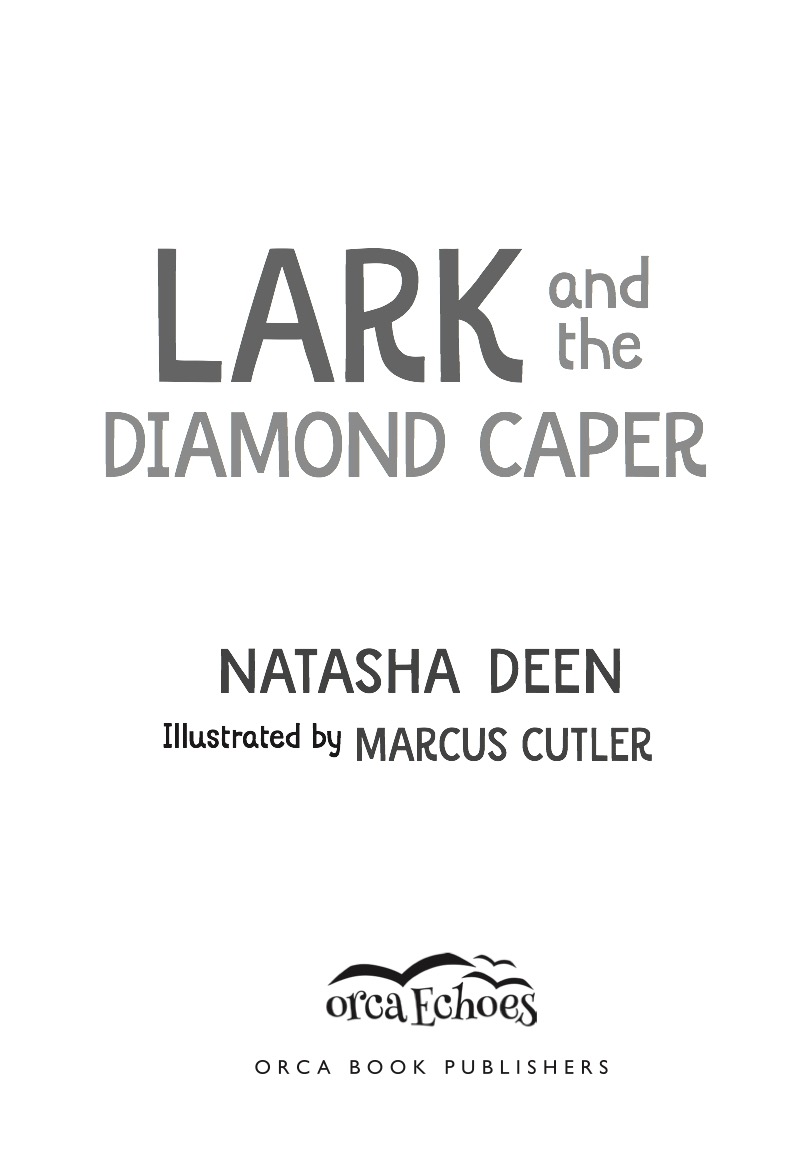 Lark and the Diamond Caper book cover