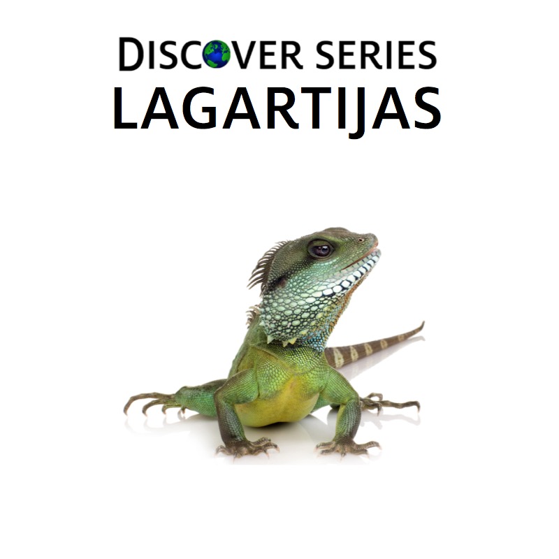 Lagartijas book cover