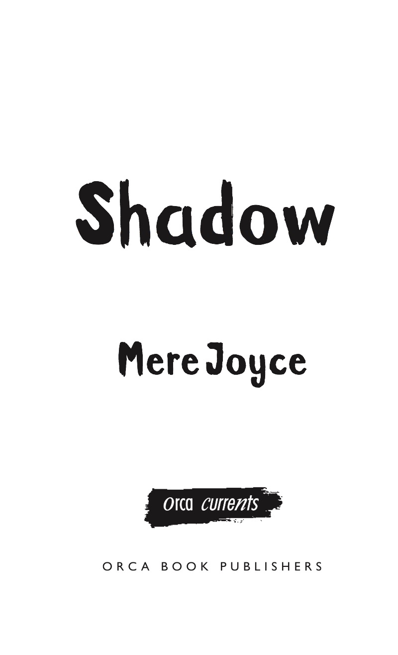 Shadow book cover