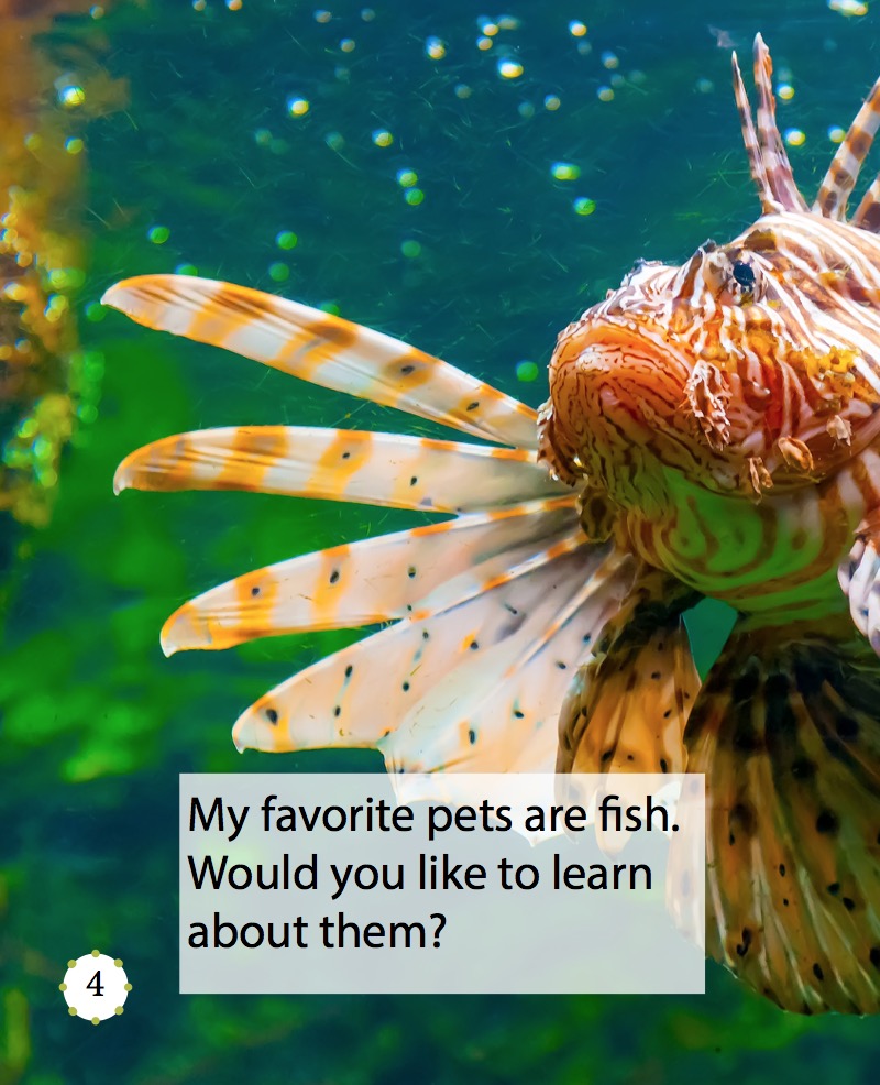 My Favorite Pet: Fish — page 1
