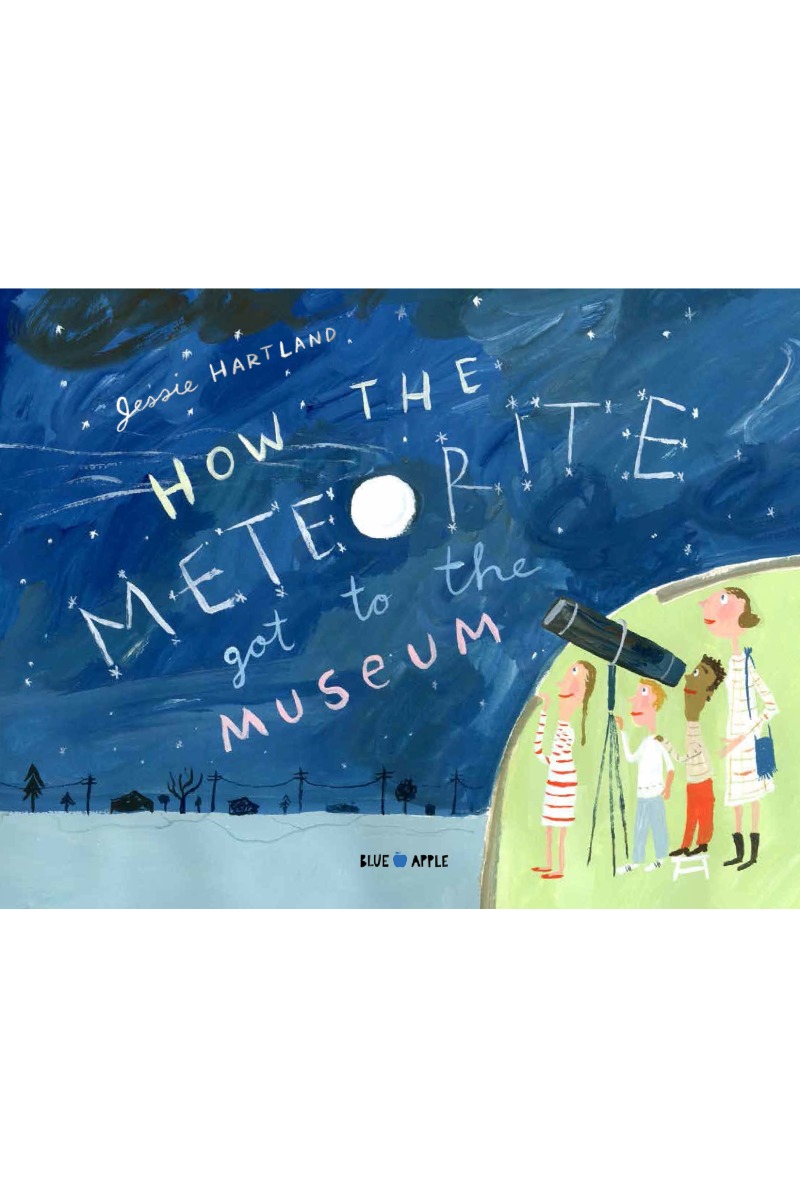 How the Meteorite Got to the Museum book cover