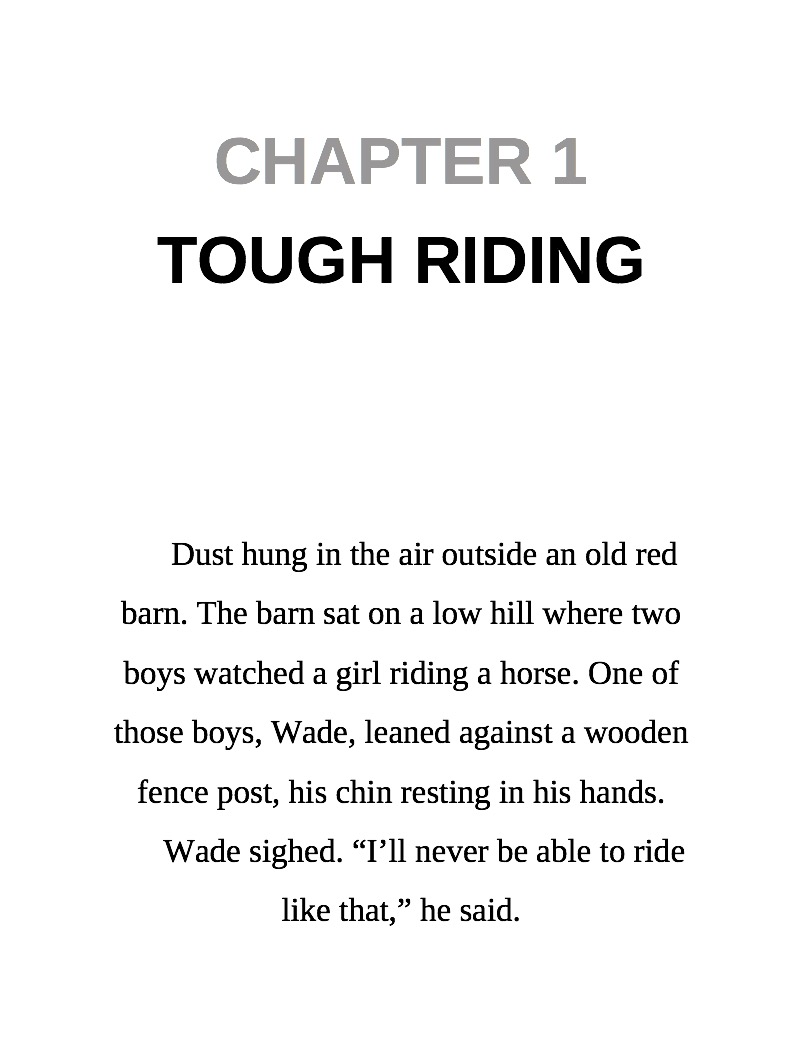 Rodeo Challenge — page 1