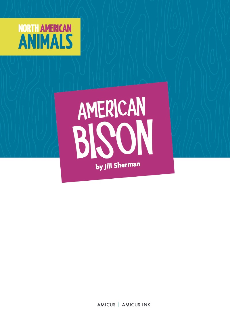 American Bison book cover