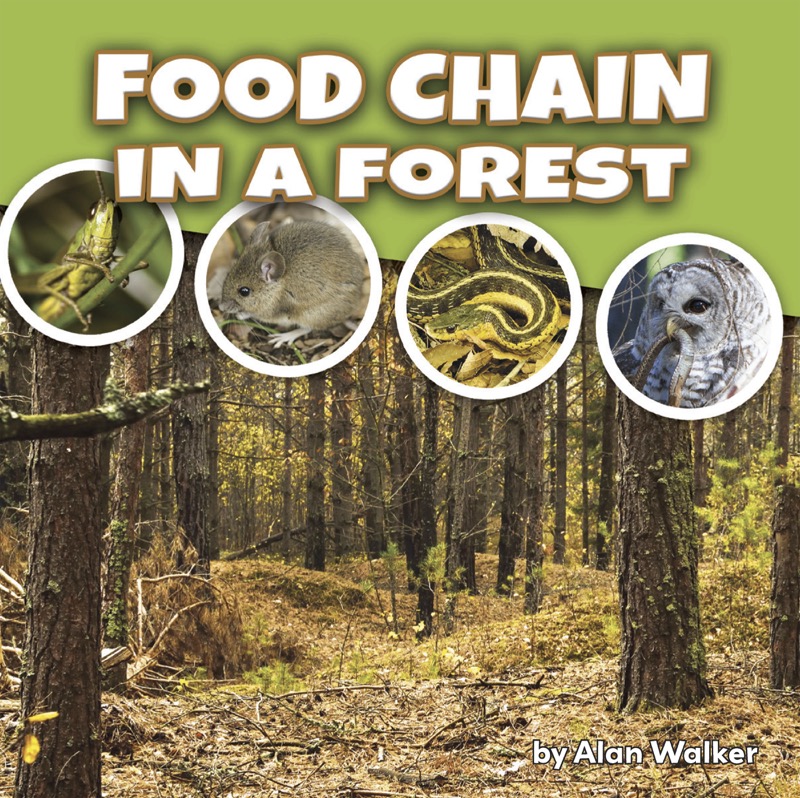Food Chain In a Forest book cover
