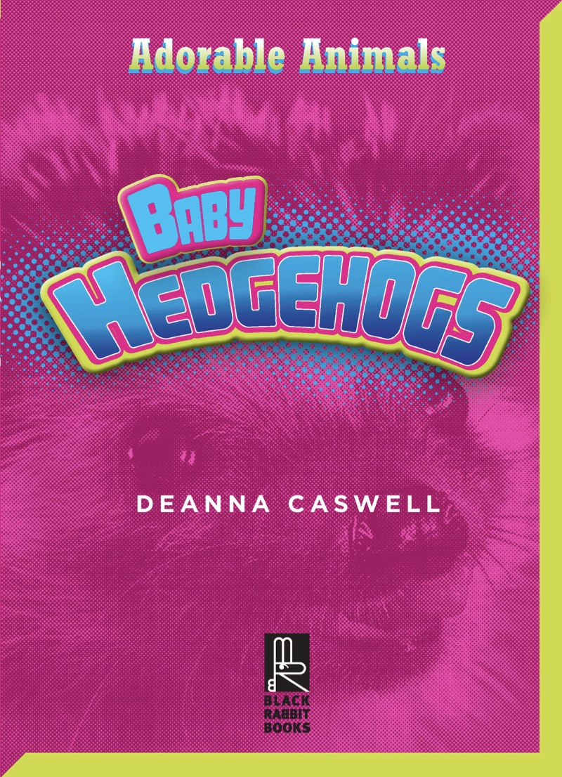 Baby Hedgehogs book cover