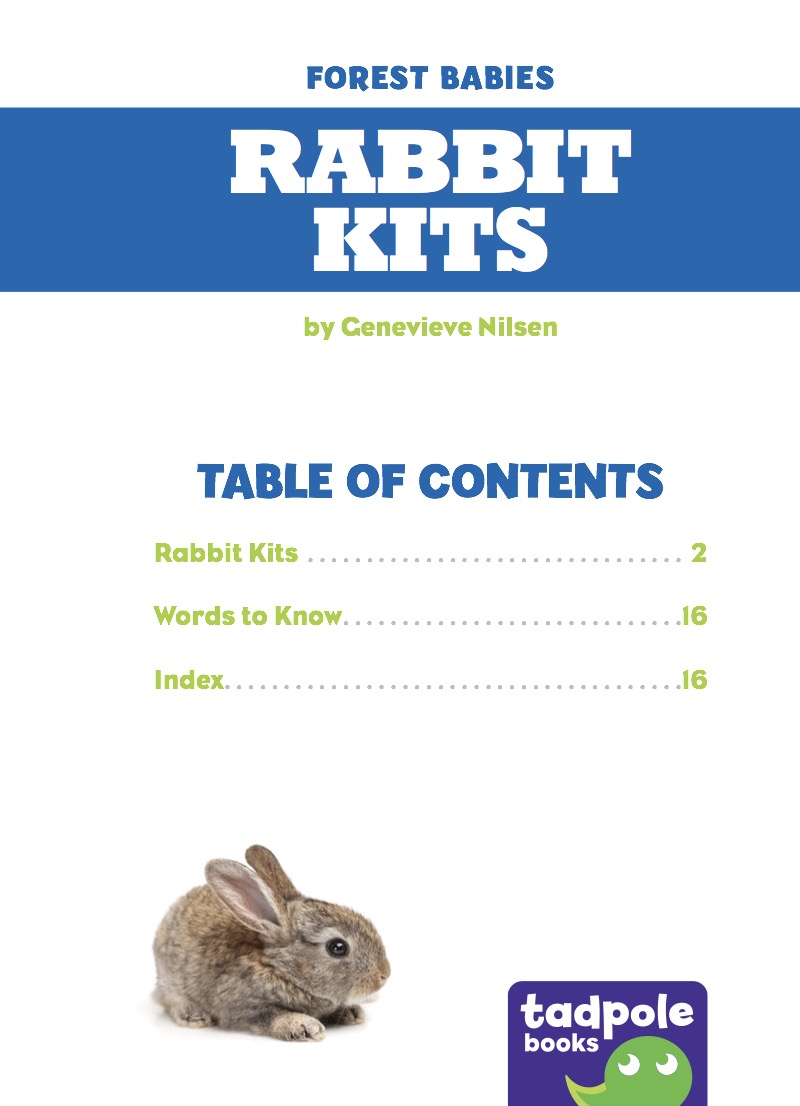 Rabbit Kits book cover