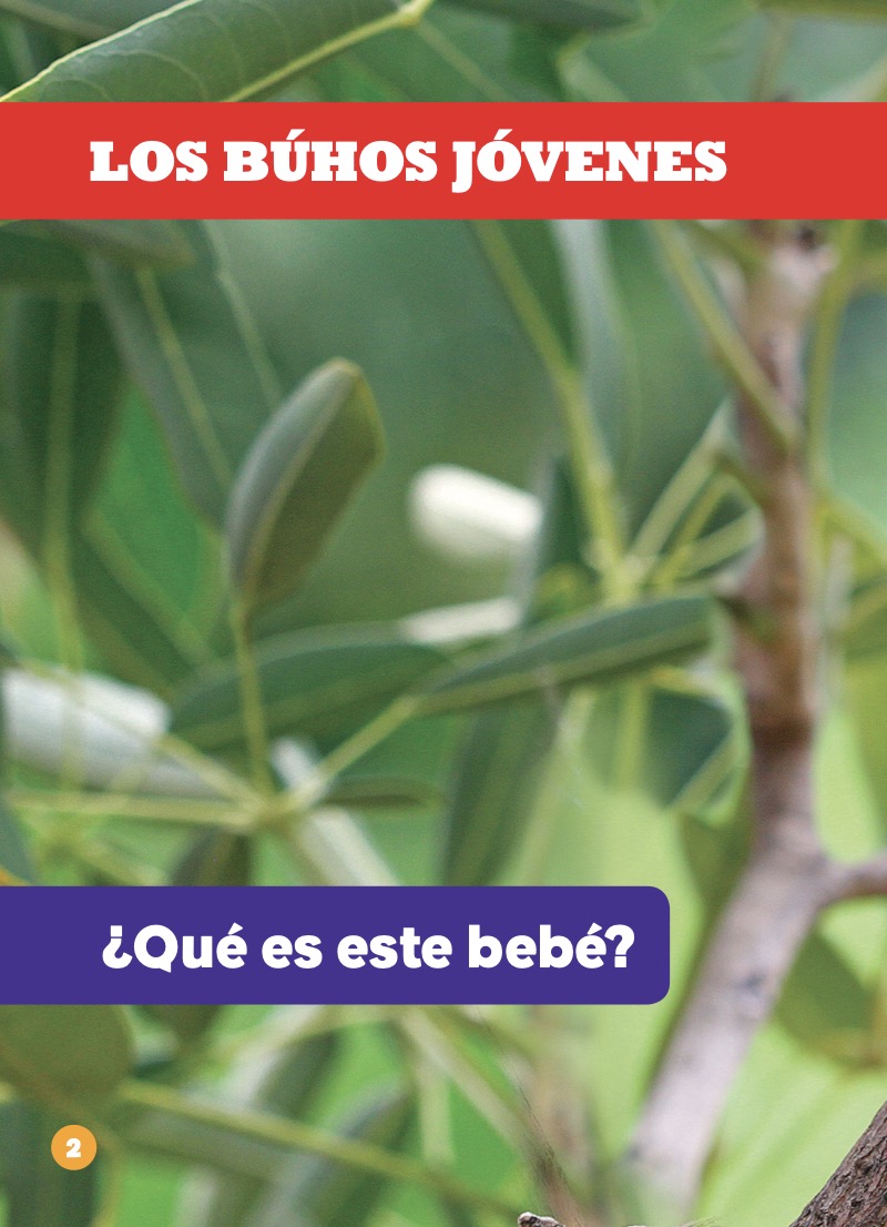 Los búhos jóvenes — page 1
