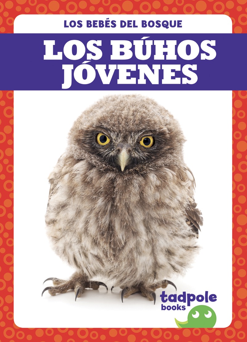 Los búhos jóvenes book cover