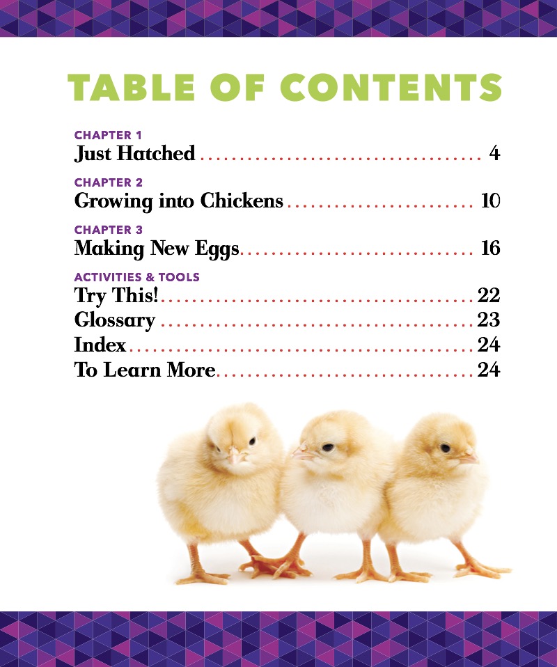 Life Cycle of a Chicken book cover