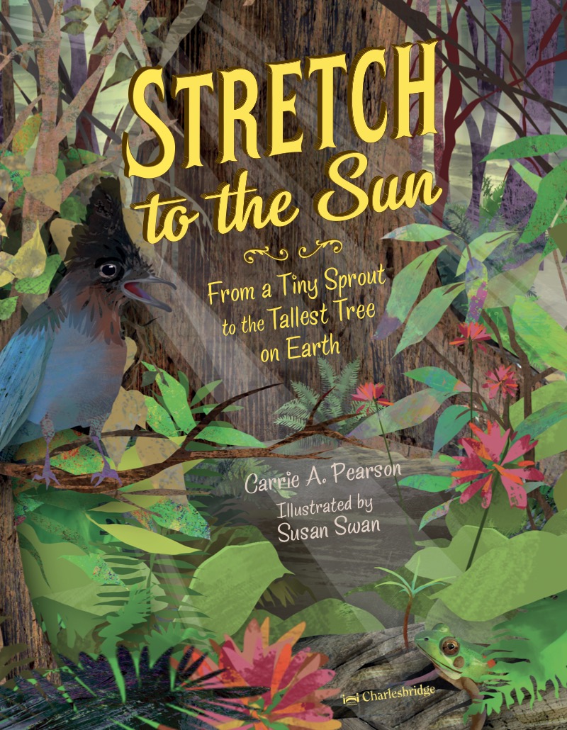 Stretch to the Sun book cover