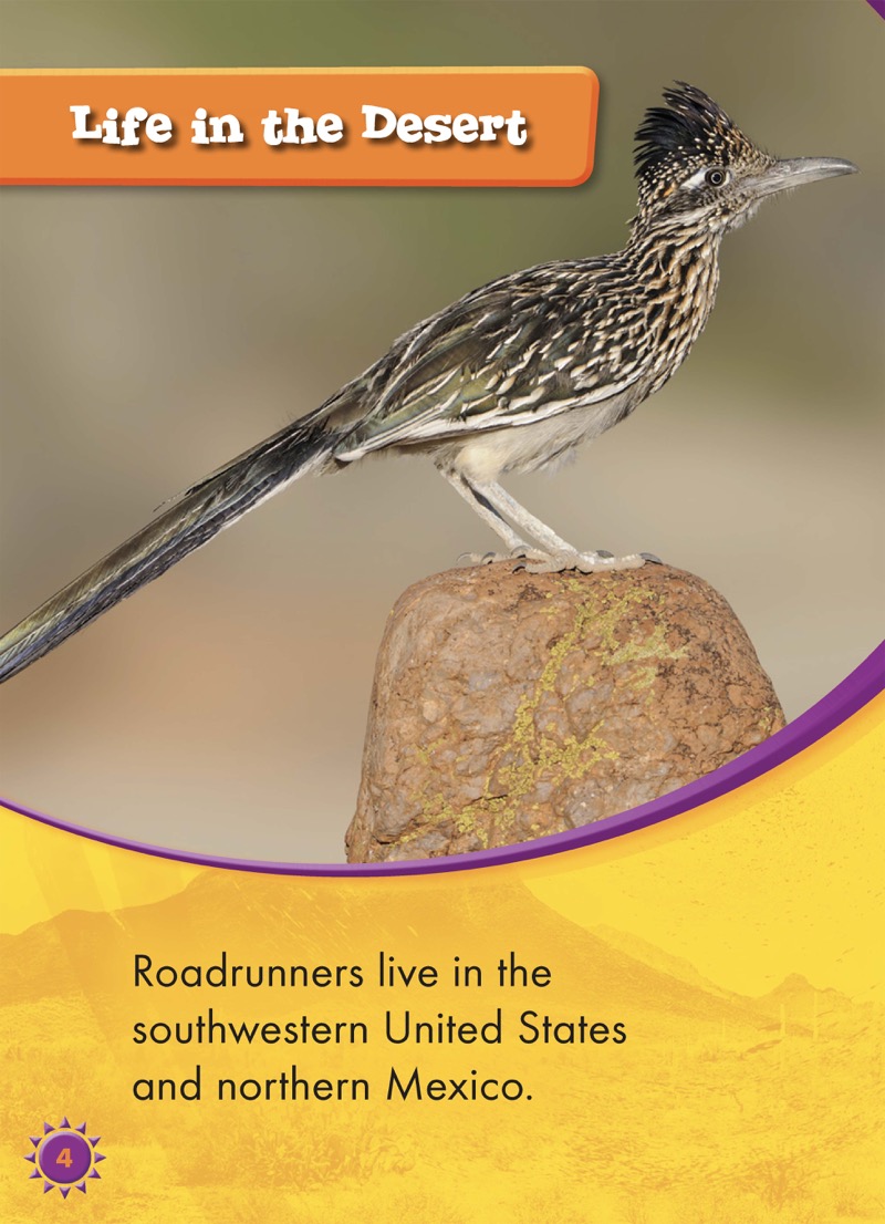 Roadrunners — page 1