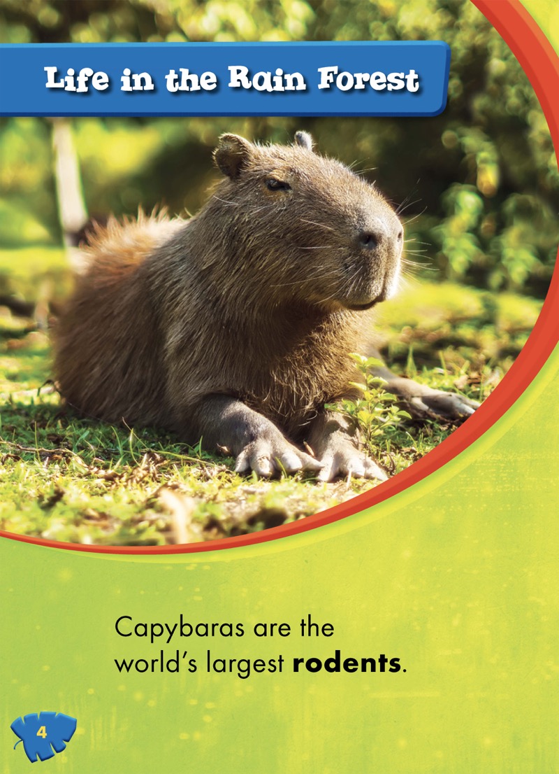 Capybaras — page 1